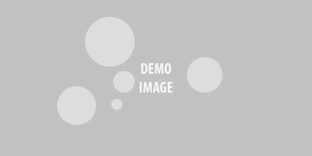 Sample article number 01